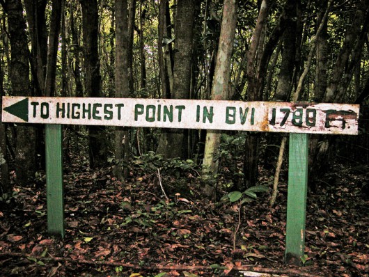 Mount Sage, Tortola