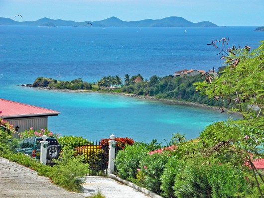 Botanic Garden, Road Town, Tortola